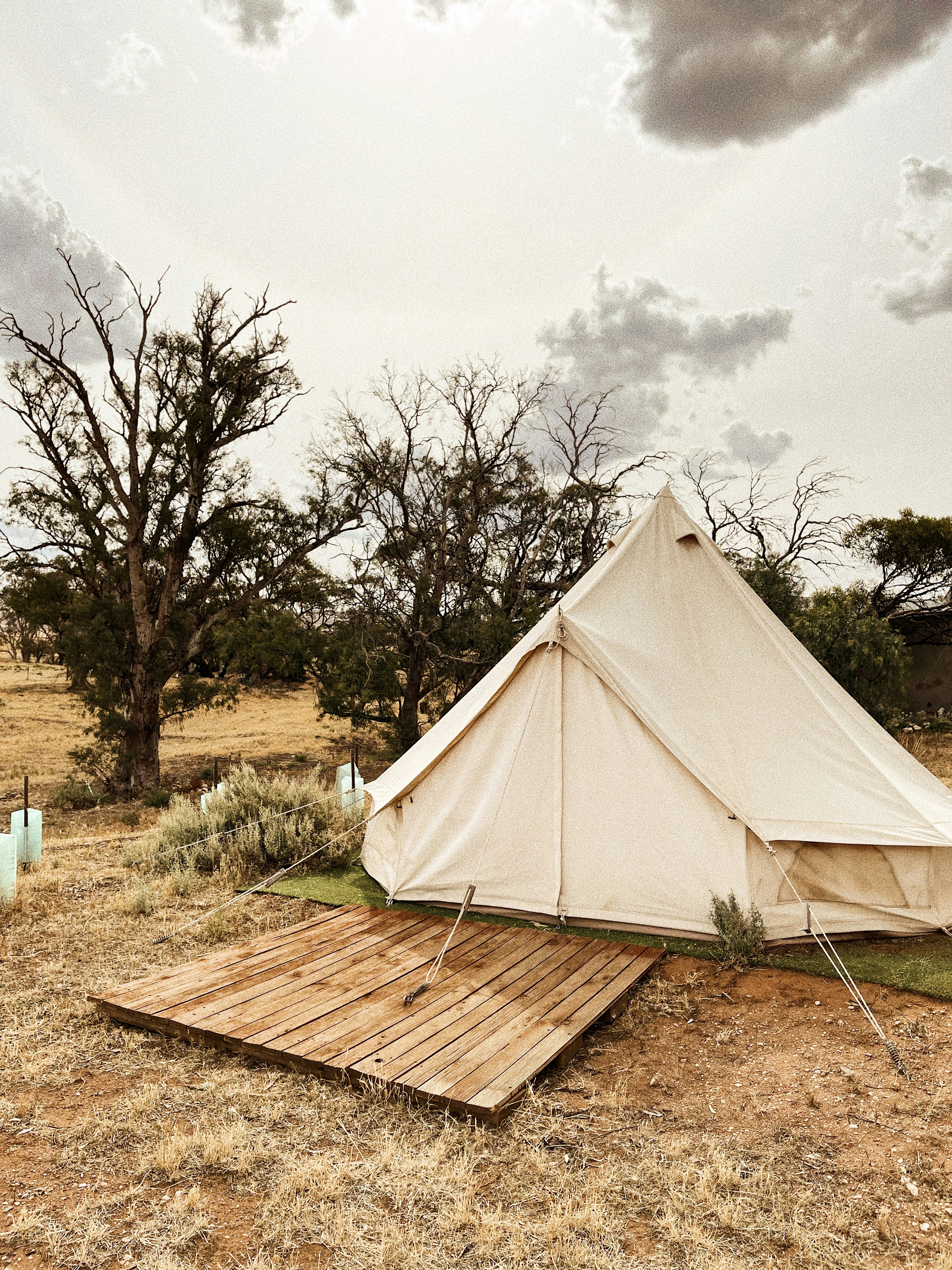 Where to Stay in Jawai: Luxury Resorts, Tents ; Budget Stays Compared