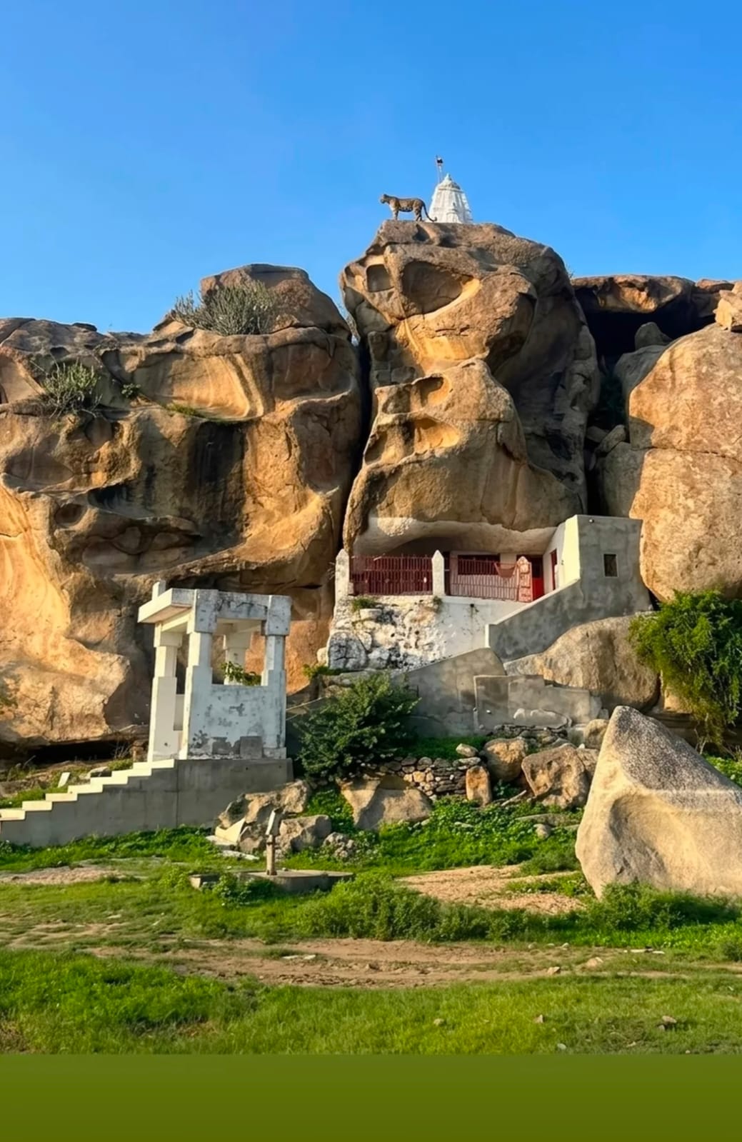 Stunning glimpses of wildlife, scenic landscapes, and unforgettable jawai leopard safari experiences in jawai rajasthan.