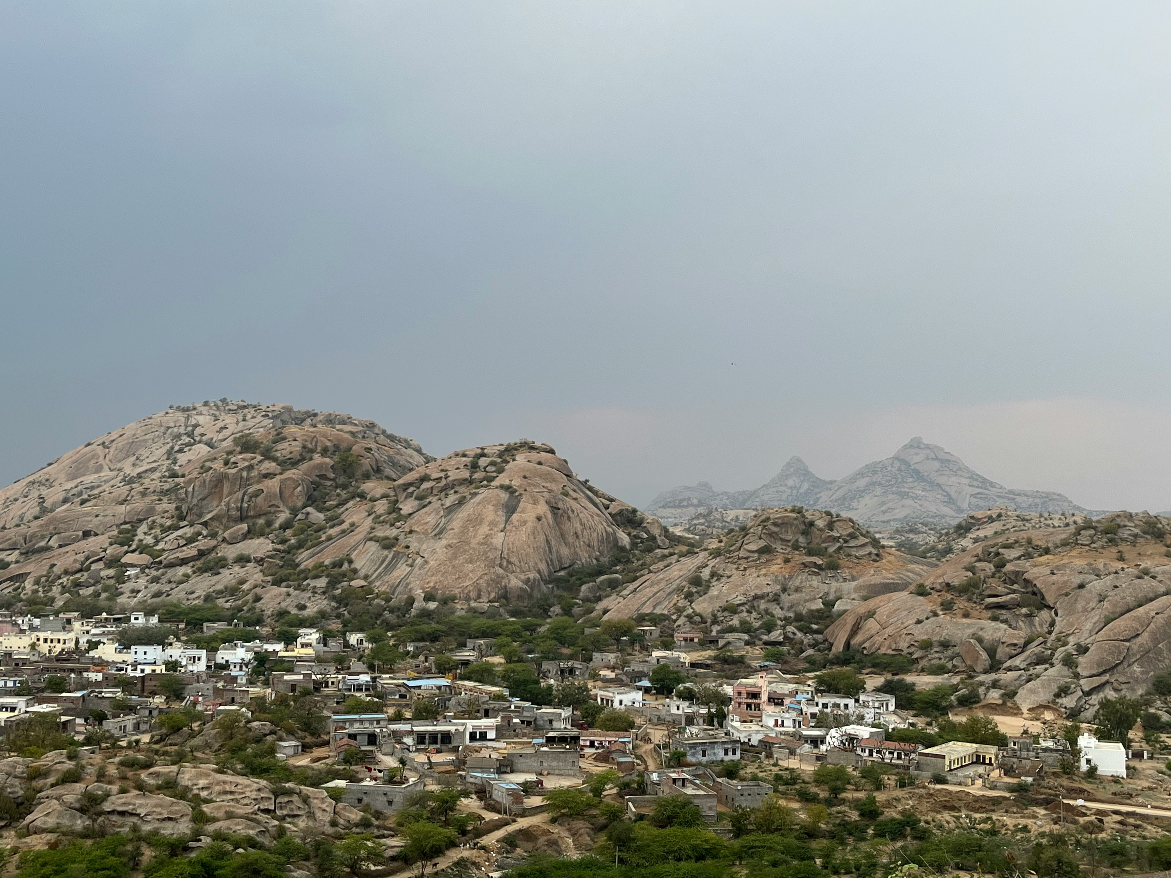 FULL DAY JAWAI SAFARI EXPERIENCE
