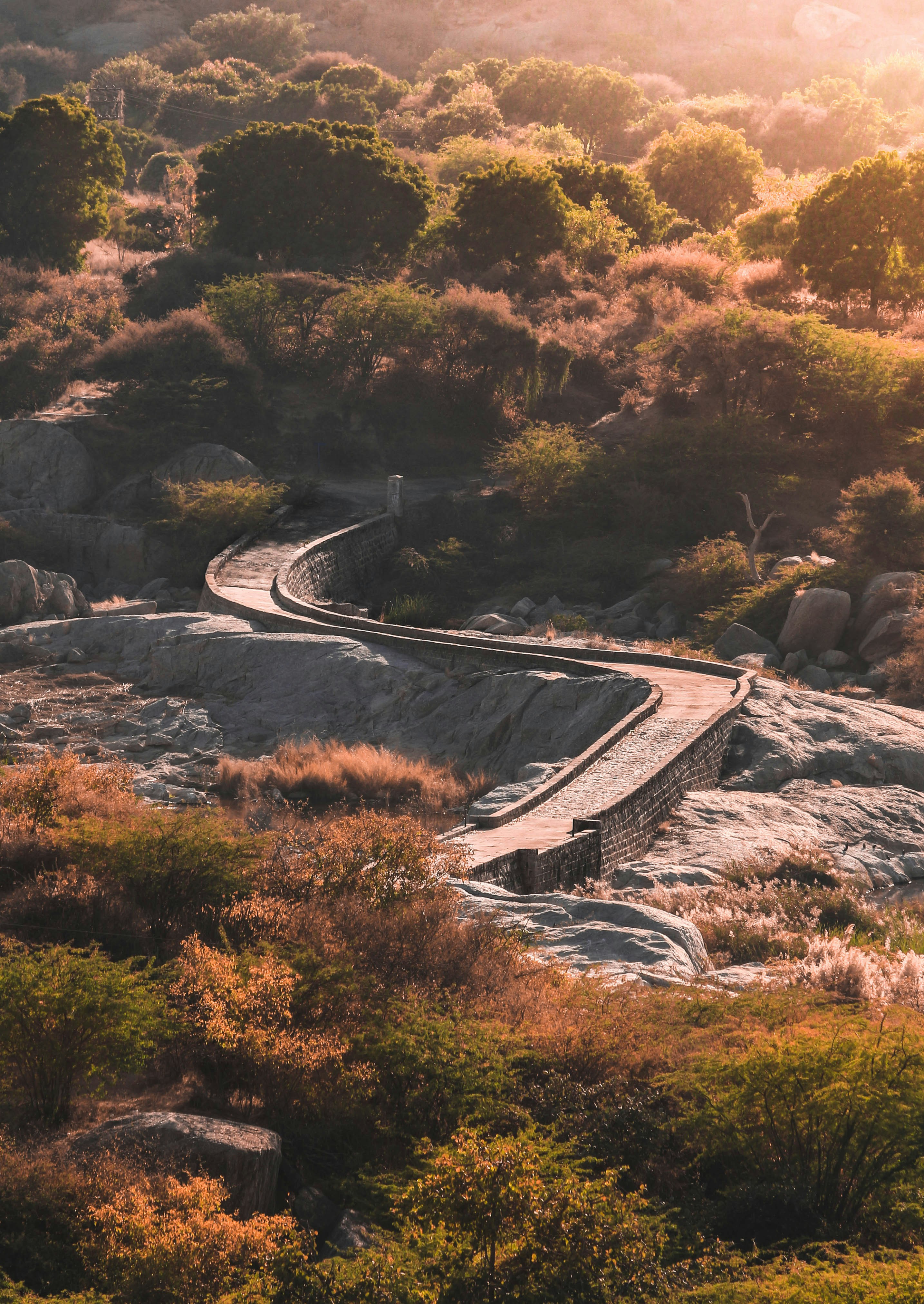 FULL DAY JAWAI SAFARI EXPERIENCE