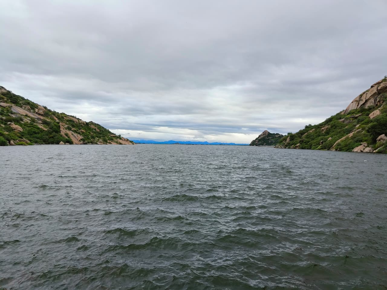 FULL DAY JAWAI SAFARI EXPERIENCE